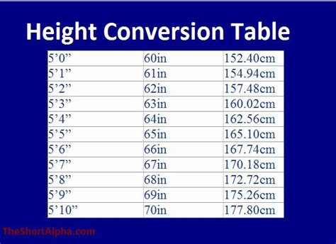 164cm in feet|165cm in feet.